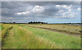 View from Roach Valley Way, Stambridge