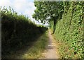 Track  SW towards the River Teign from A381