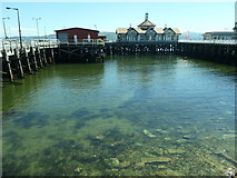 NS1776 : The clear waters of the Firth of Clyde, Dunoon by Christine Johnstone