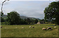 Countryside to the West of Linton-in-Craven