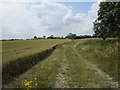 Bridleway near The Lodge