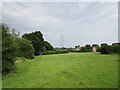 Grassland and pylons