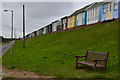 Beach huts above coast road