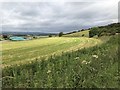 Farmland near Quarrington Farm