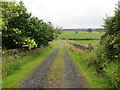 Track descending to a minor road from Strathmaddie