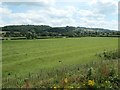 Ridge and furrow, south-west of Pry Farm