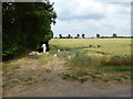 Farmland, Draycott Moor Farm