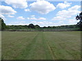 Public footpath towards Holt Copse