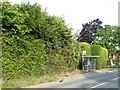 Bus shelter, Fox Hill