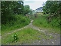 Path leaves the bridleway