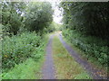 Track leading onto the Moss of Cree