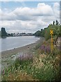 Barnes : view of The Thames