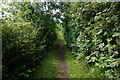 Mill Lane towards Hales Lane