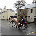 Horse and sulky, Merthyr Road, Ashvale, Tredegar