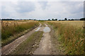 Track leading to Long Hedge Lane, Carlton