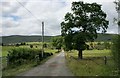 Road to Burniebrae Farm