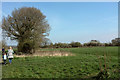 Field and path near Harrogate High School