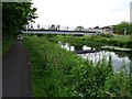 Footbridge crossing the Forth and Clyde Canal