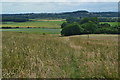 Path through fields towards Salmonby