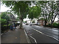 Bus stop and shelter on  Seven Sisters Road (A503)