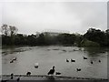 NZ2464 : View south across Leazes Park lake by Robert Graham
