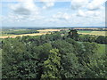 The view from Faringdon Folly 1: NE