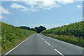 A356 towards Maiden Newton