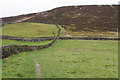 Path to Holcombe Hill