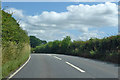 A3066 towards Beaminster and Bridport