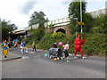 Romsey Carnival Procession (6)