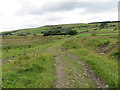 Track from Tynedale Farm approaching Bull Hole