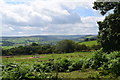 Farmland beside South View Farm