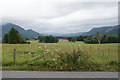 Farmland near Bassenthwaite