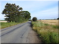 Summer Road, looking north