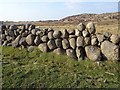 Drystane dyke, Airighglas