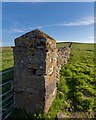 ND1122 : Dry Stone Wall by valenta