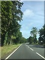 Approaching Hopwood Grange on A441