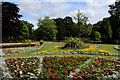 Ornamental Flower Beds, Botanic Gardens in Churchtown