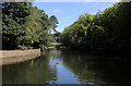 The Lake, Botanic Gardens in Churchtown