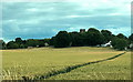 Footpath through Farmland near Patrick Brompton