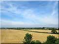 Farmland near Bishop