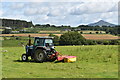 O1906 : Topping thistles in pasture at Sraghmore by Simon Mortimer
