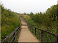 Path up from beach