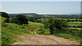 Farm track on Frocester Hill