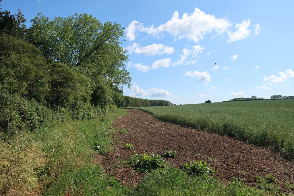 Bare strip by field © Hugh Venables cc-by-sa/2.0 :: Geograph Britain ...