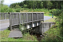 NX4564 : Bridge over the Bruntis Burn, Kirroughtree by Billy McCrorie