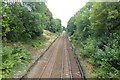 Railway from Wheatlands Road East