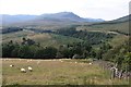 Slopes of Glen Artney