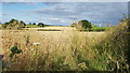 Farmland near St Briavels