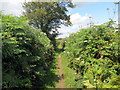 ST0280 : Llwybr ger Farm St Anne / Path near St Anne's Farm by Alan Richards